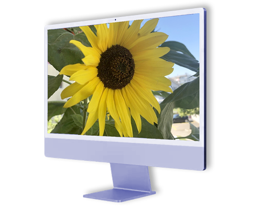 Apple Computer- und iPhone-Dienstleistungen